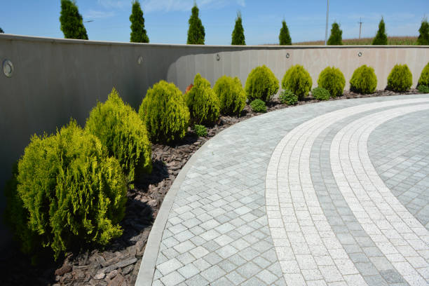 Best Driveway Paving Company  in Hays, NC